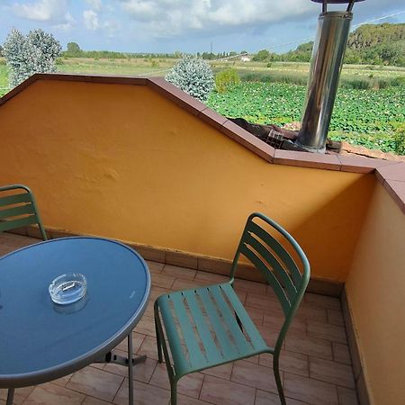 Cecco Di Nara Hotel Massarosa Kültér fotó