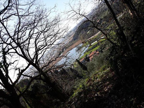 Cecco Di Nara Hotel Massarosa Kültér fotó