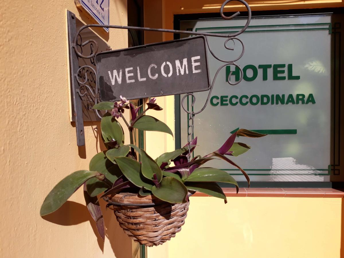 Cecco Di Nara Hotel Massarosa Kültér fotó